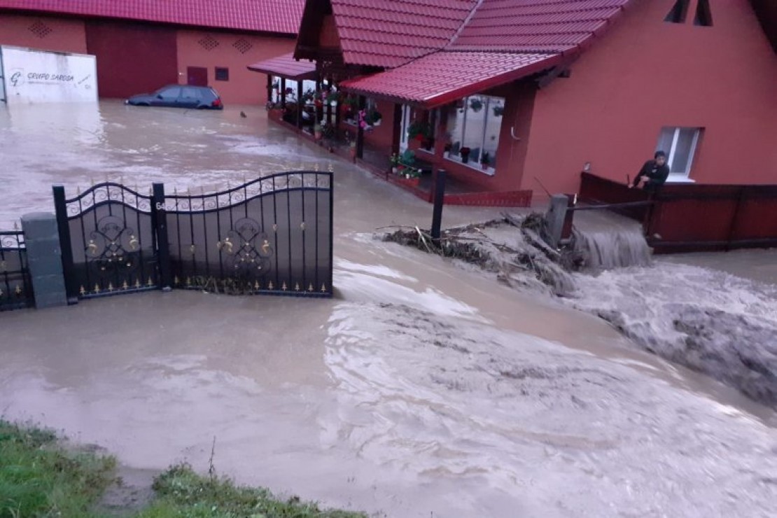 Dama_kep_20240922.jpg