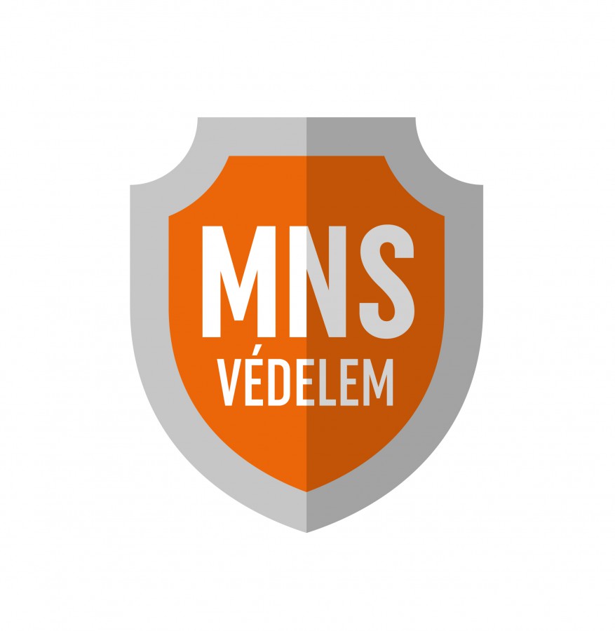 mns_logo.jpg